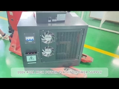 플래팅 100V 400A 크롬 니켈 골드 반성식 전자기 정제 RS484